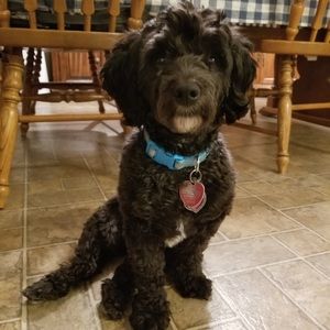 Meet your Posher, Lynn